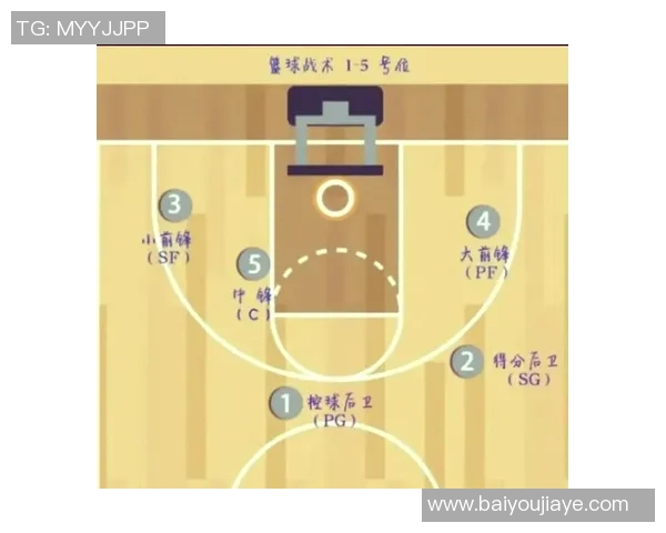 篮球技战术全面解析与球队管理策略研究